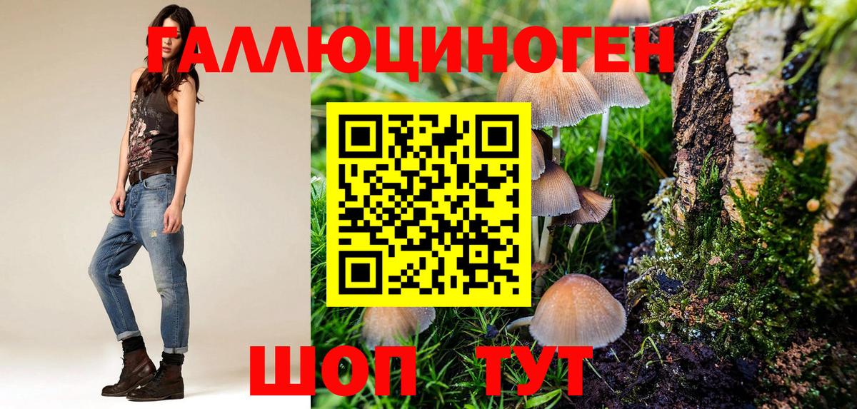 Псилоцибиновые грибы Cubensis Ханты-Мансийск